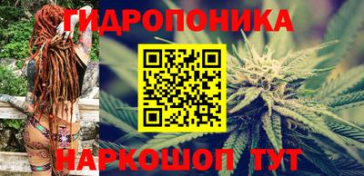 шишки Бузулук