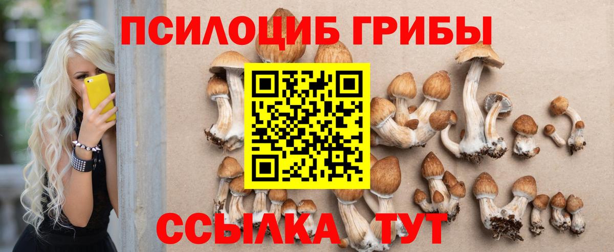Галлюциногенные грибы Cubensis  Вход с VPN  Орск 