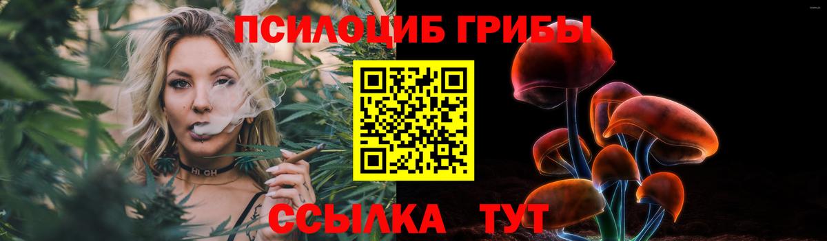 Галлюциногенные грибы прущие грибы Орск
